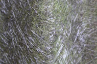 Garsdale fibreglass roof work